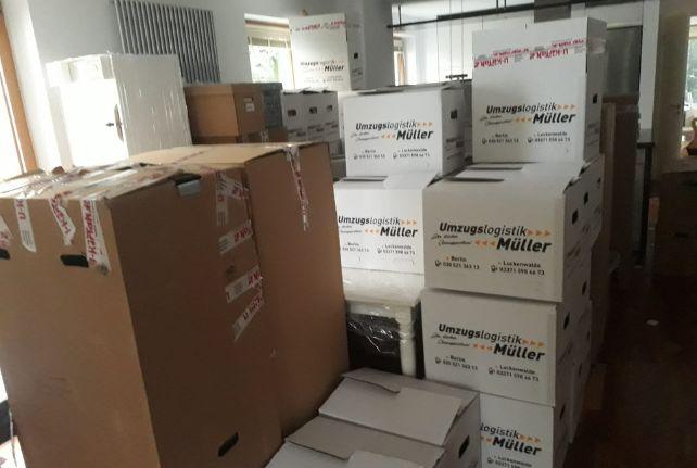 Labor Umzug preise erfahren in Wittichenau