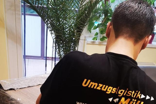 Preise für Ihren Studentenumzug in Wittichenau